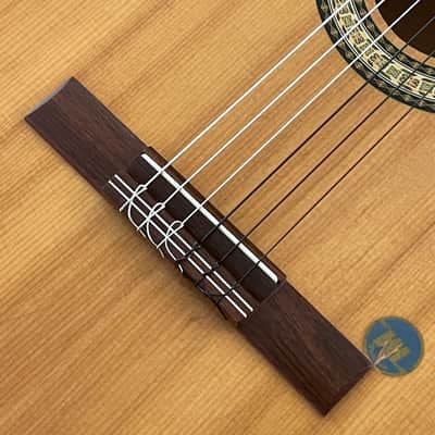 Musima Classical - 1970’s Made in Germany! - Beautiful Guitar with Amazing History! - image 6