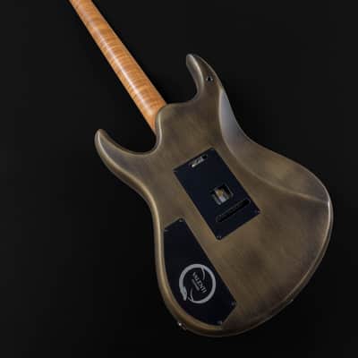 Valenti Guitars Nebula Carved - Mia Series Prototype image 3