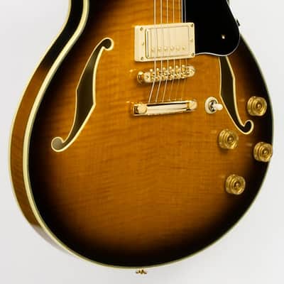 Ibanez John Scofield Signature  6 String Electric Guitar w/Case - Vintage Sunburst (JSM100VT) image 3