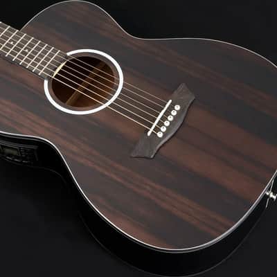 Washburn Deep Forest Folk Acoustic/Electric Guitar. Striped Ebony, New, Free Shipping  DFEFE-U image 8