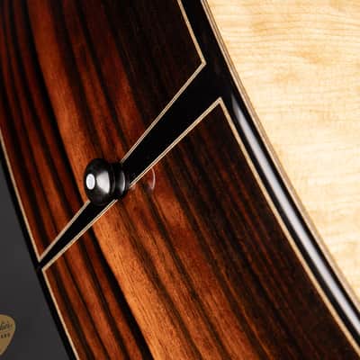 Goodall Parlor 14 Fret Cutaway - Bearclaw Sitka Spruce & Macassar Ebony image 17