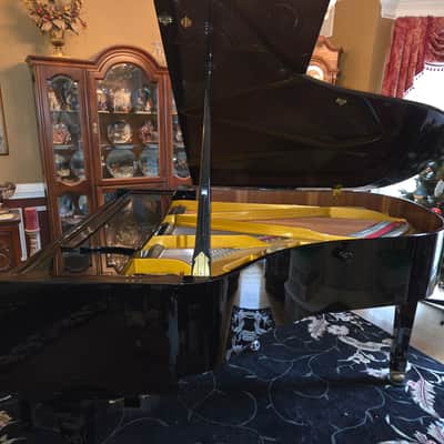 Petrof Model III / 3B 1997-98 Piano - Mint - Atlanta Area image 8