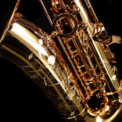 Selmer Paris 82SIGF HSP Professional Alto Saxophone, Vintage Matte image 4