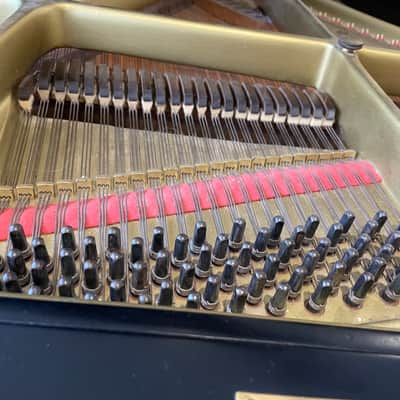 Chickering Grand piano 7foot image 4