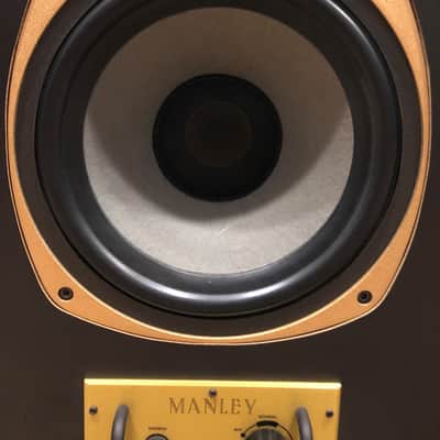 Mastering Lab / Manley ML10 Tannoy SGM monitors! image 4