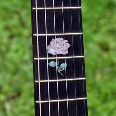 2019 The Tree Sexauer FT-000-C German Top Multi-Scale Fanfret Hot Hide Glue Varnish #2870219 image 5