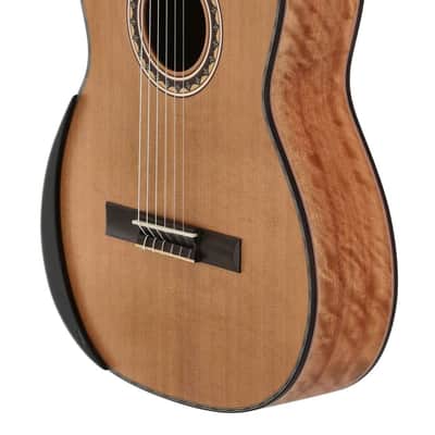 Manuel Rodriguez Tesoro de Camerún Limited Edition Solid Cedar Top & Cedar Neck 6-String Classical Acoustic Guitar w/Hard Case & Footrest image 8