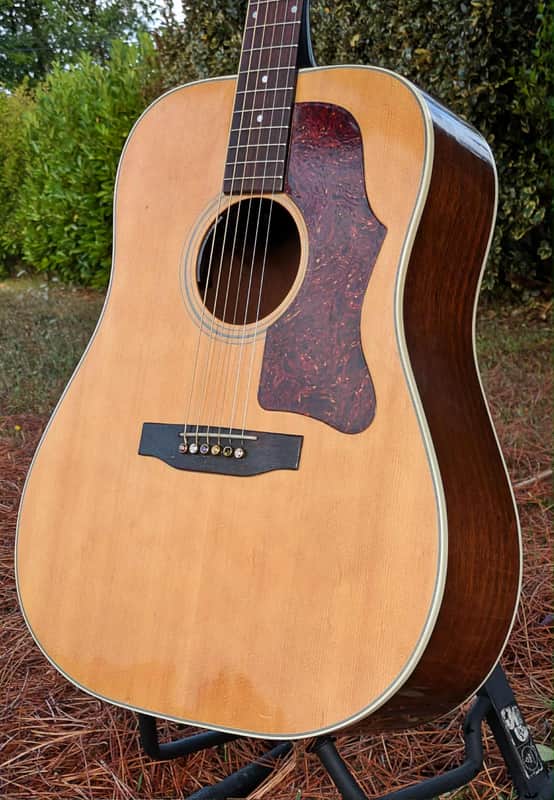 Gibson J-55