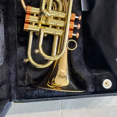 CarolBrass Pocket Flugelhorn / Taylor Phat Puppy 2024 - Polished / Lacquered image 8