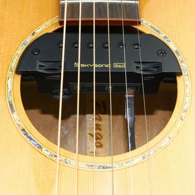 Skysonic Acoustic Guitar Soundhole Pickup PRO-1 image 3