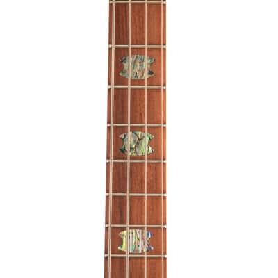 Spector X Series USA Custom NS-4X Bass Guitar - Ale's Inferno - #022 image 11
