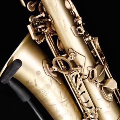Selmer Paris 82SIGF Professional Alto Saxophone, Vintage Matte image 7