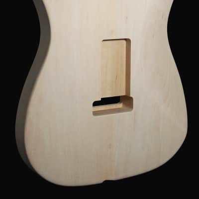 Body Telecaster Hybrid image 13