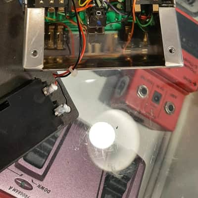 Cornell First Fuzz image 3
