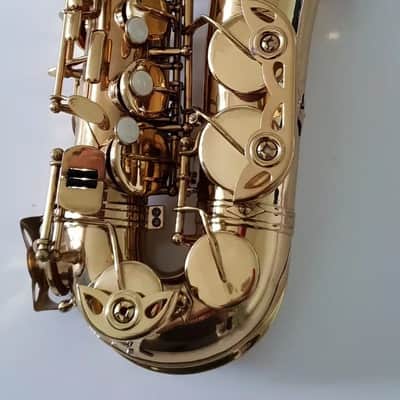 Alto Saxophone - Sax in Eb Gold Finish & Soft Case Complete Outfit By Chase~ image 3