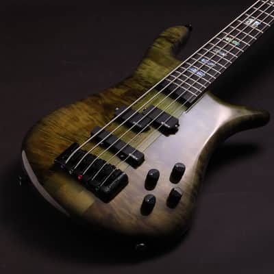 Spector Euro 5 CST 2026 - Haunted Moss Gloss image 6