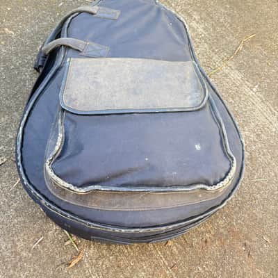 Svoboda Acoustic Electric Bass - Freted or Fretless 2021 - Clear Mat image 7