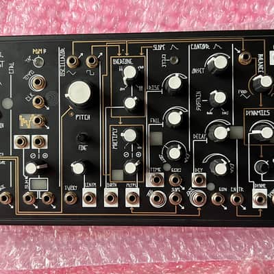 Make Noise 0-Coast Patchable Synthesizer 2008 - Present - Black image 4