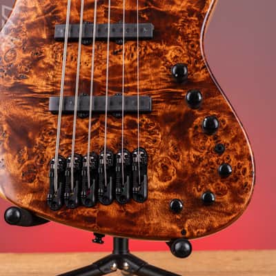Ibanez Mode MDM1606 6-String Bass Natural Mocha Low Gloss image 5