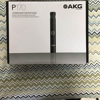 AKG P170 Small Diaphragm Cardioid Condenser Microphone 2010s - Black image 1