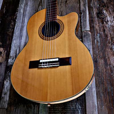 Gibson Chet Atkins CE Classical Nylon Guitar w/ Hard Case - 1982 image 21