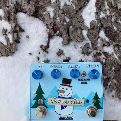 Summer School Electronics Snow Day Delay image 2