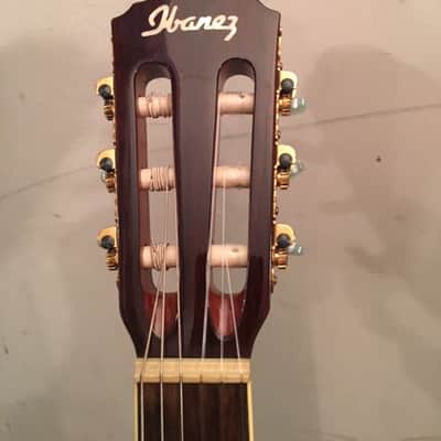 Ibanez AEG10NE image 5