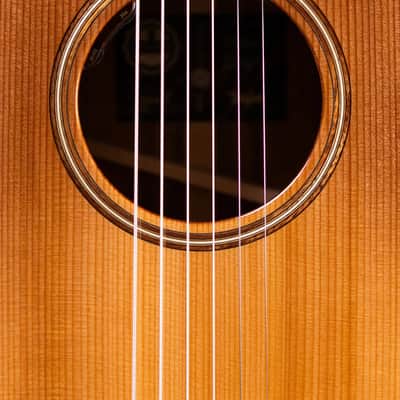 Taylor Custom Shop #C0023 Gold Label Super Auditorium Acoustic/Electric Guitar with Hardshell Case image 12