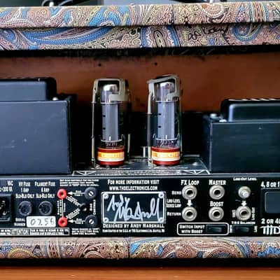 THD Flexi 50-Watt RARE Paisley andy marshall plexi image 4