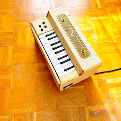 Super Rare Giaccaglia Micro “Fisetta” Chord/Reed Organ (Italy, 1950s) – vintage electric mini organ and harmonium! image 10