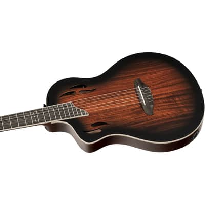 Ortega RTPDLX-ACA-L TourPlayer Series Solid Okoume Body Slim Neck Nylon 6-String Acoustic-Electric Guitar w/Gig Bag For Left Handed Player image 10