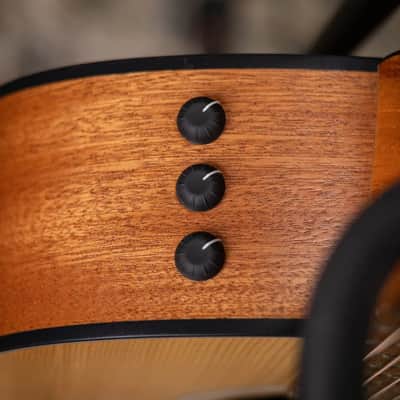 Taylor 117e Grand Pacific Acoustic/Electric Guitar with Gig Bag image 12