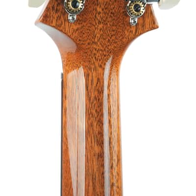 PRS Special 22 Semi Hollow Tiger Eye image 6
