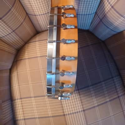 Tut Taylor Tennessee 5 String Banjo image 6