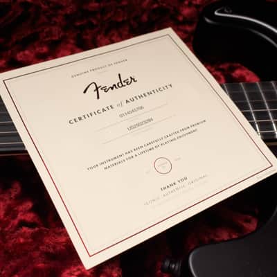 Fender Jim Root Artist Series Signature Stratocaster 2026 Flat Black 4091gr image 15
