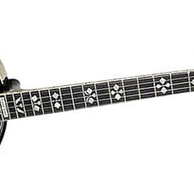 Gold Tone OB-250: Lightweight Orange Blossom Banjo with Case image 3