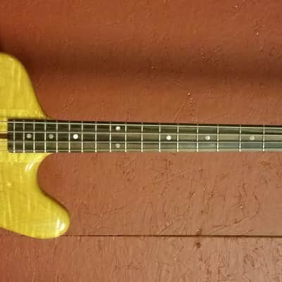 Ribbecke  Bass 1982 Vintage Custom Thunderbird Bass Very Very Rare 1 of 4 image 5