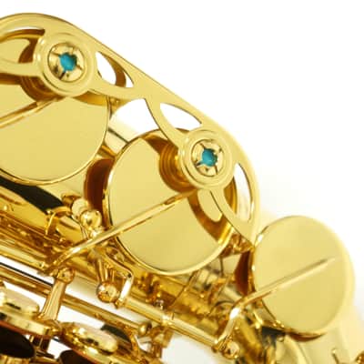 【Special price】 Yanagisawa A-WO1 [AW01] Professional Alto Saxophone image 10