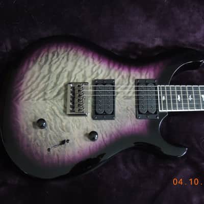 Paul Reed Smith PRS SE Mark Holcomb Signature Guitar 2019, 2018? 10% off for 2 days! image 15