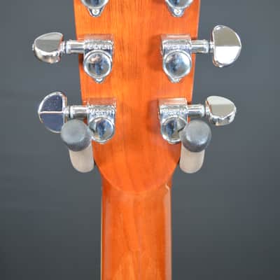 Zager ZAD-50 Dreadnought - Spruce/Mahogany w/ OHSC image 7