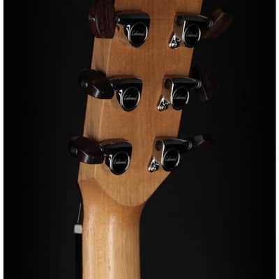 Lakewood M-31CP L.R. Baggs image 7