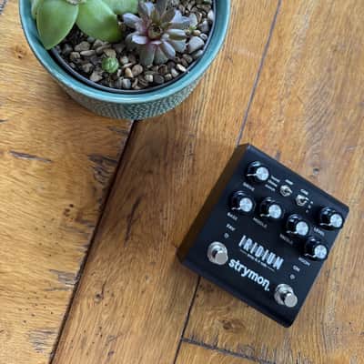 Strymon Iridium 2019 - Present - Black image 1
