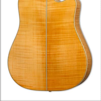 Takamine GD74CE-12ULH Gloss Natural w/Gigbag image 2