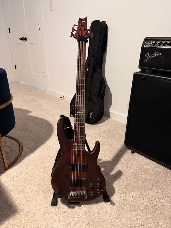 ESP LTD D-5 2010s - Natural Satin with Mahogany/Maple Neck image 1
