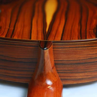 Jose Salinas 2019 "Negra" Flamenco Guitar - Exceptionally good sounding Guitar – Powerful & Expressive - Check Video! image 12