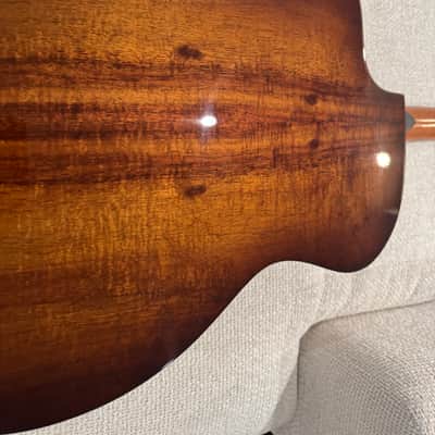 Taylor 224ce-K DLX custom with ES2 electronics - Cutaway - Shaded Edge Burst image 6