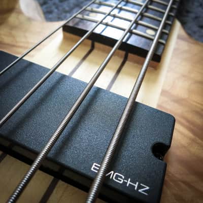 Schecter Riot-4 Bass (Brand New, Left Handed) image 7