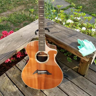 Breedlove Masterclass Focus SE Redwood (2000s) image 5