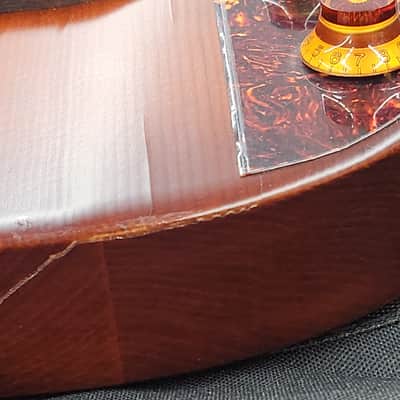 Seagull  Uke nylon sg burst with bag cracked EQ image 9