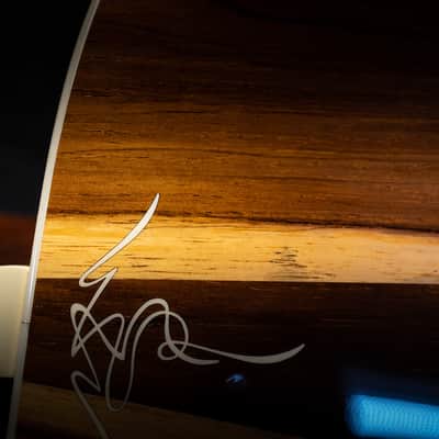 Taylor Limited Edition "Legends of Fall" 814B Grand Auditorium - Brazilian Rosewood - 2000 image 15